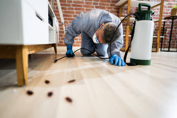 How Much Does Pest Control Cost in Dhaka?