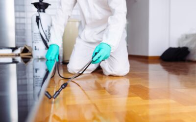 Is It Safe to Be in the House After Pest Control?