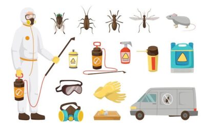 Why You Should Hire Pest Control Services in Dhaka