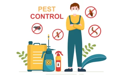 Dhaka Pest Control No problem | Call Care Pest