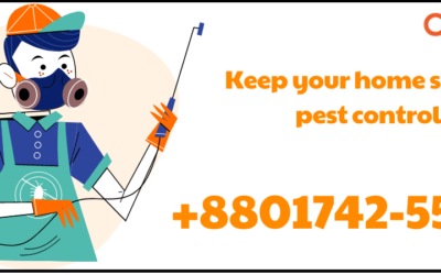 Keep your home safe using pest control services in Dhaka