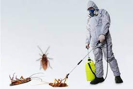 What is a Strong Pest Control for Cockroaches in Dhaka