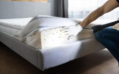 Does Heat Kill Bed Bugs?