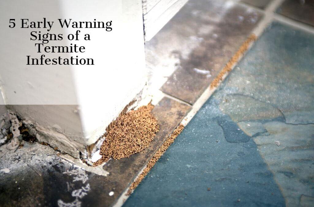 5 Early Warning Signs of Termites