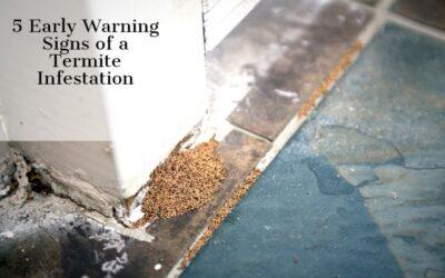 5 Early Warning Signs of Termites