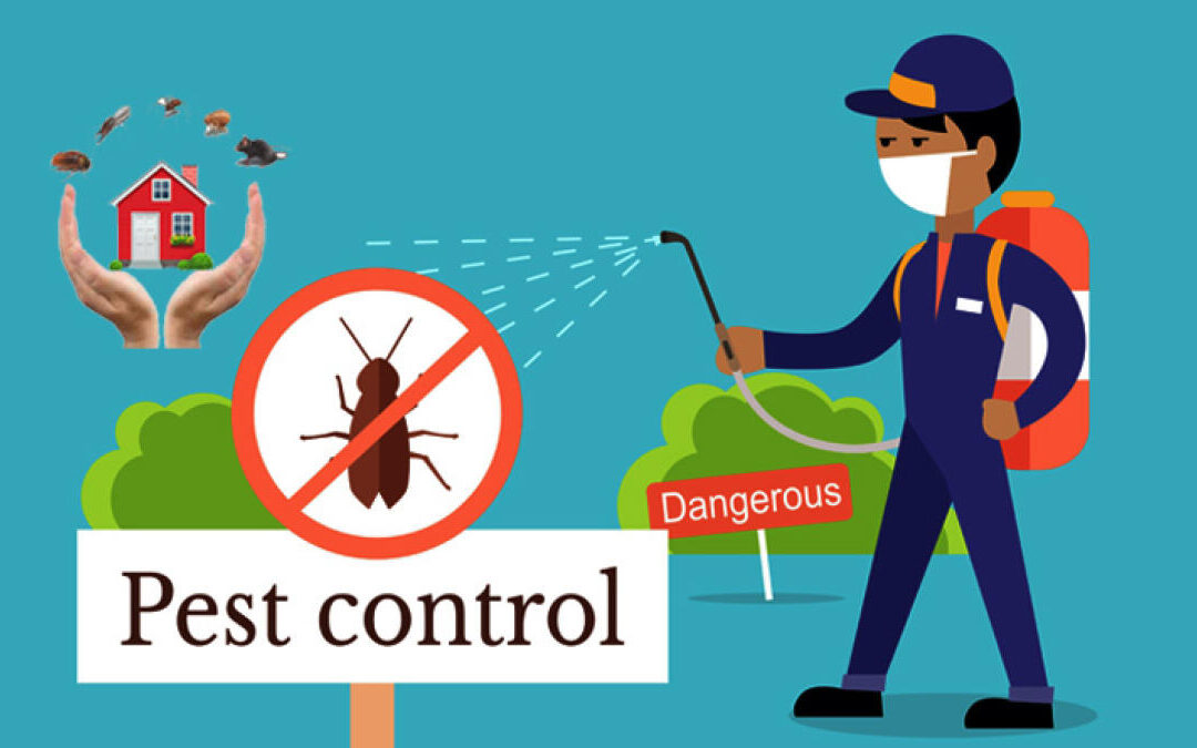 Pest Control Service