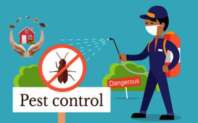 How Often Do You Need Pest Control Services?